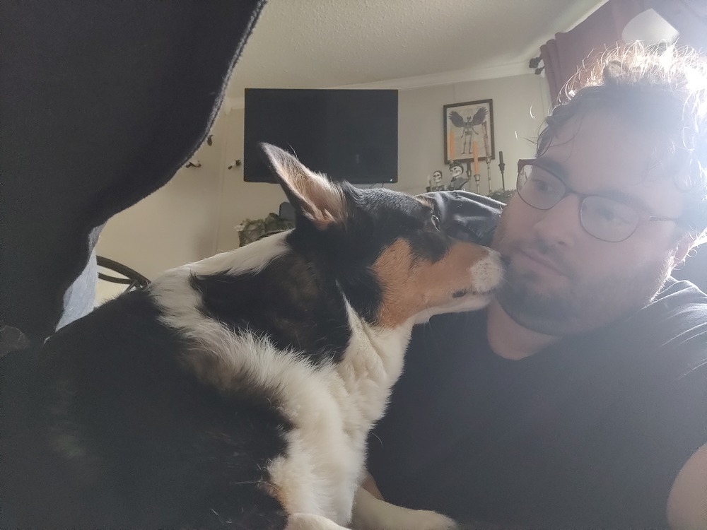Mabel sticks her snout into my face as we both lay on the floor.
